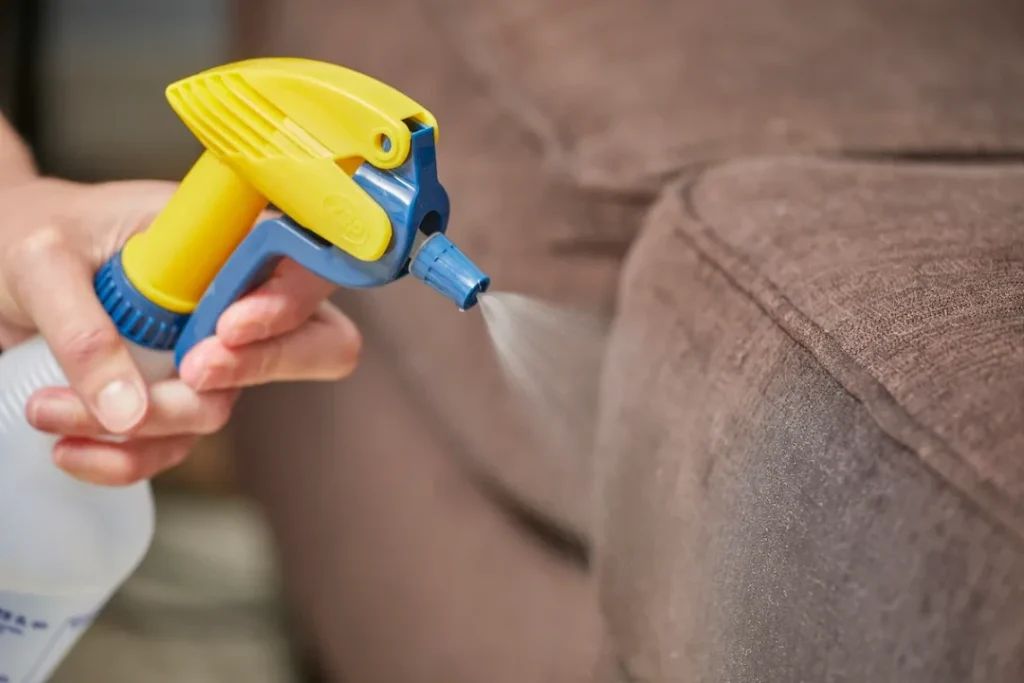 Ingredients For First Homemade Upholstery Cleaner